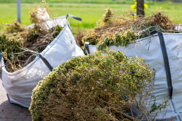 Best Local Junk Hauling  in George, IA